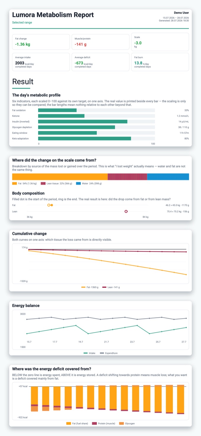 Lumora — Report: result & body composition